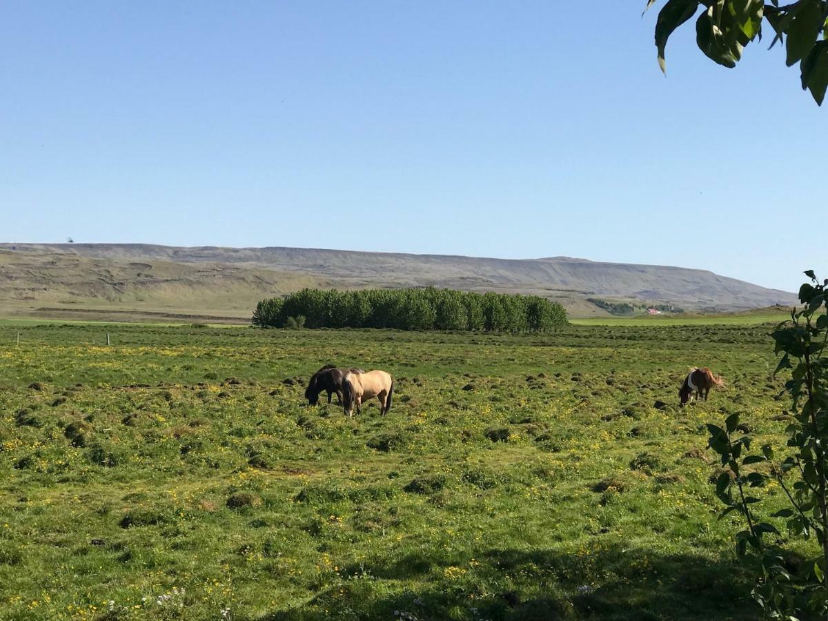 Dalabyggd Cottages - Romantic Stay By The Secret Lagoon Flúðir Esterno foto